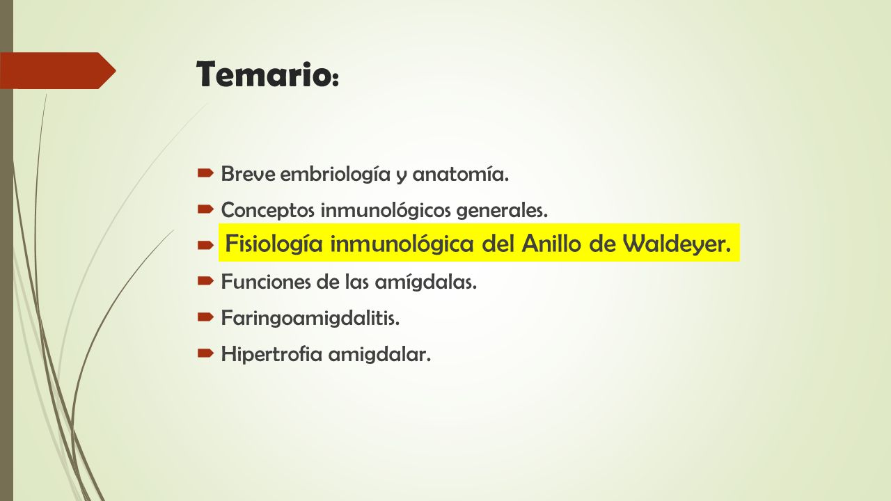 OTORRINOLARINGOLOGIA ppt video online descargar